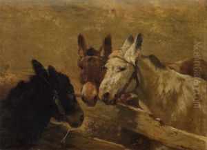 Trois Anes A La Barriere