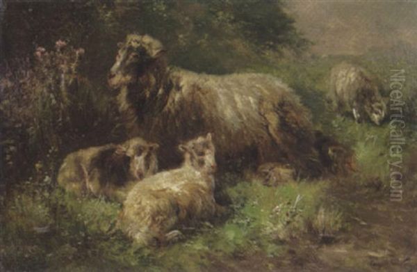Schaf Mit Lammern Im Gras - view 1