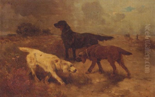 Irish Setters In A Heath Landscape, Sportsmen In Background - view 1