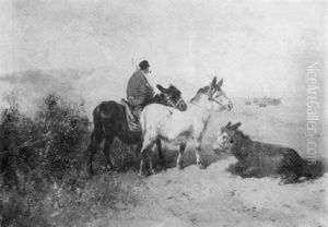 Mules Sur La Plage