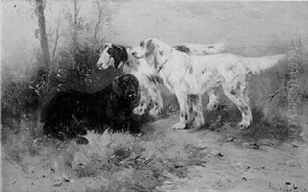 English Setters - view 1