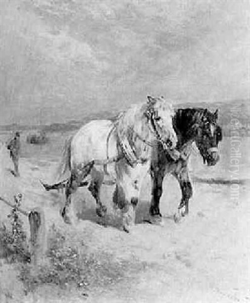 Draught Horses Pulling A Barge - view 1