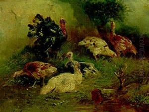 Turkeys In A Landscape