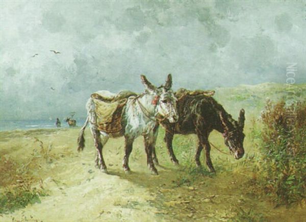 Donkeys Near The Beach - view 1