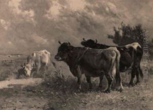 A Bull And Cows In A Meadow A Bull And Cows In A Meadow
