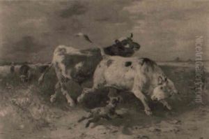 Taureaux Et Chien Taureaux Et Chien