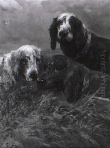 Drei Jagdhunde, Deren Kopfe Aus Dem Gras Hervorschauen by Henry Schouten