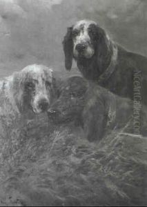 Jagdhunde Im Gestr_pp Jagdhunde Im Gestr_pp