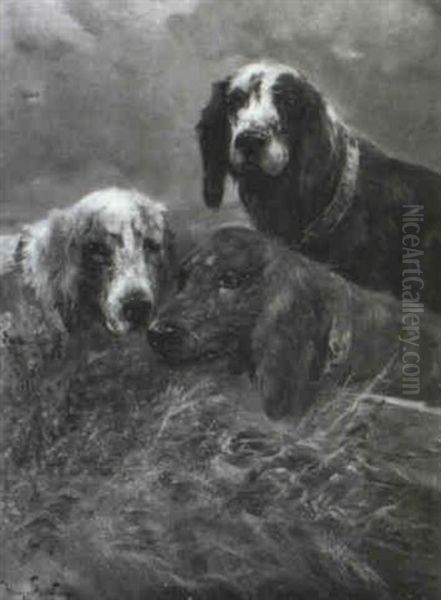 Drei Jagdhunde - view 1