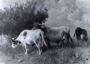 3 Jungkuhe Auf Einer Moorwiese Vor Einem Gebusch