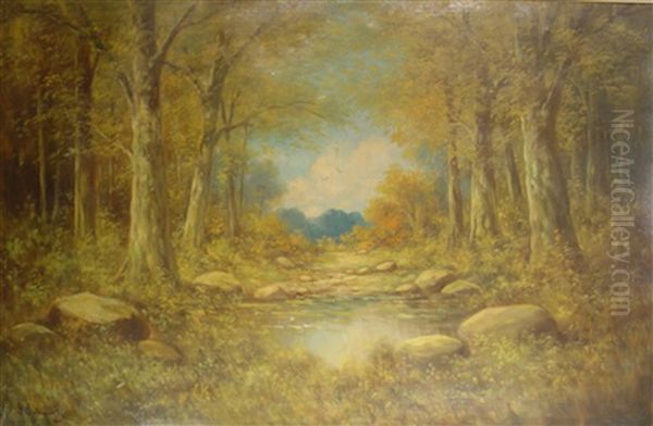 Sous Bois - view 1