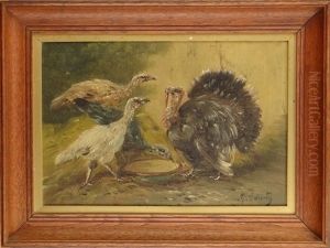 Coq, Poules Et Dindons by Paul Schouten
