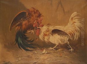 Combat De Coqs