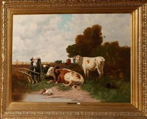 Vaches Au Pre Vaches Au Pre
