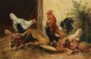 Coq Et Poules A La Cour