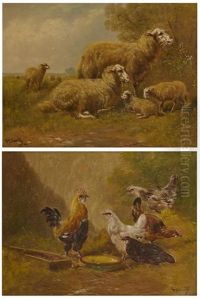 Moutons (+coq Et Poules; 2 Works) by Paul Schouten