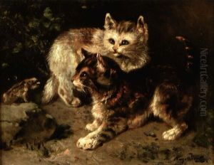 Les Chatons Et La Grenouille