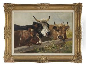 Bulls At A Fence