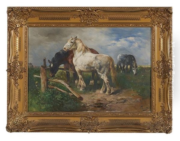 Horses In A Field - view 1
