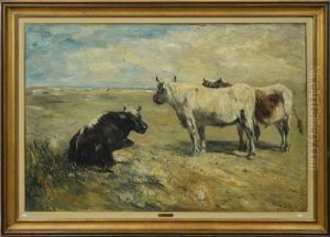 Boeufs En Bord De Mer Boeufs En Bord De Mer