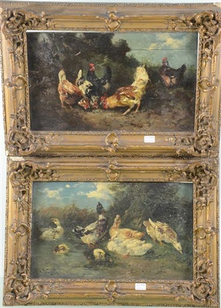 Poules Et Canards - view 1
