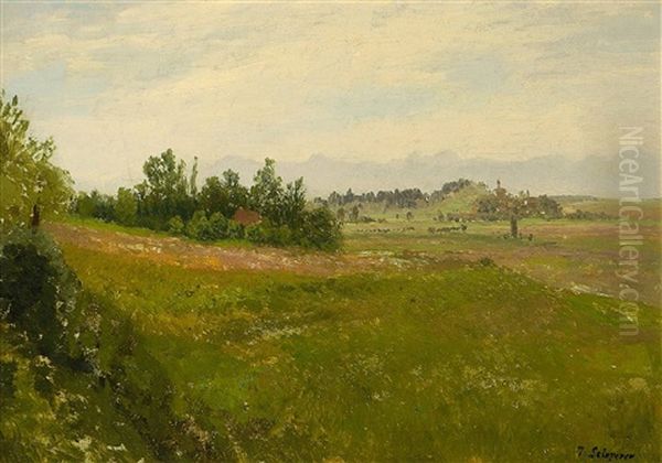 Landschaft - view 1