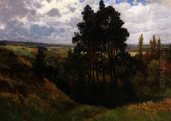 Blick Von Der Hohe In Sommerliche Landschaft Mit Kleiner Stadt - view 1