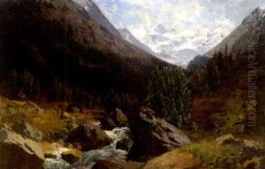 Gebirgsschlucht Mit Bach