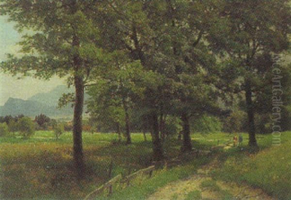 Eichen Bei Wasserburg Am Inn - view 1