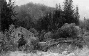 Waldlandschaft Waldlandschaft