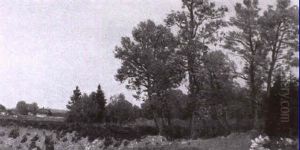 Sommerlandschaft Sommerlandschaft