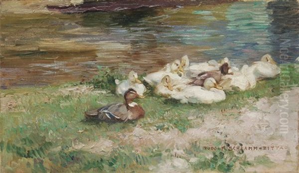 Enten Am Wiesenufer - view 1