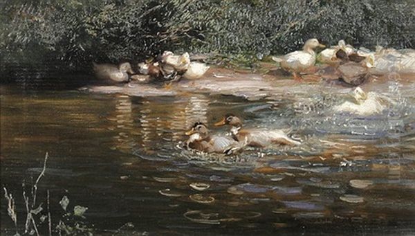 Enten Am Teich - view 1