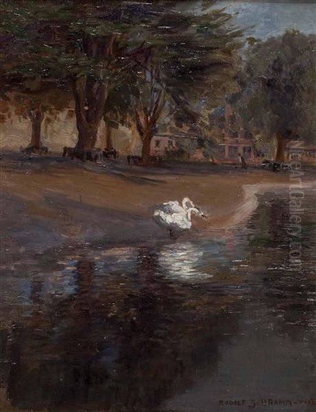 Zwei Schwane Am Seeufer Im Englischen Garten, Munchen - view 1