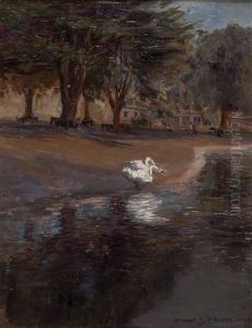 Zwei Schwane Am Seeufer Im Englischen Garten, Munchen by Max Rudolf Schramm-Zittau