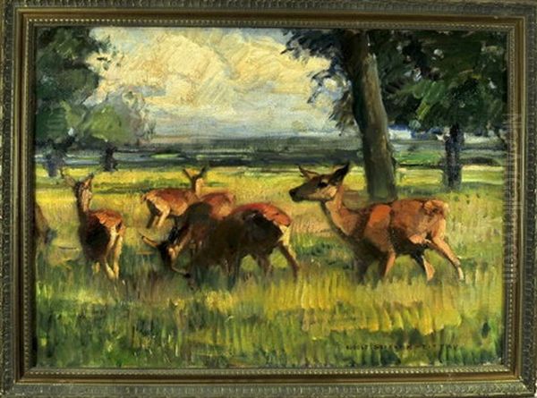 Eine Herde Rehe Auf Der Wiese Am Waldrand - view 1
