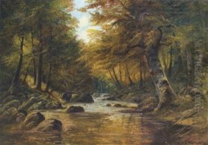 Wildbach Im Herbstwald