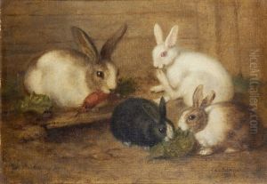 Studies Of Rabbits (a Pair) by Charlotte Mount Brock, Miss Schreiber