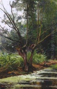 Fruhlingstag Mit Waldbach Fruhlingstag Mit Waldbach