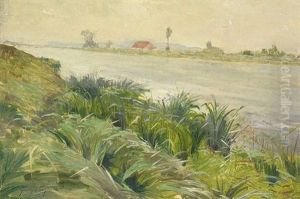Blick Uber Bewachsenes Ufer Auf Gegenuberliegende Seite An Einem Dunstigen Tag by Georges Schreiber