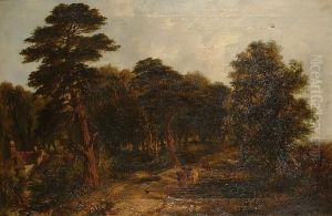 Cattle Grazing In A Wooded Landscape Cattle Grazing In A Wooded Landscape