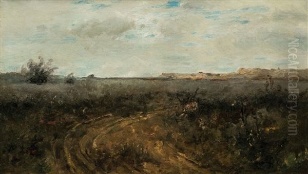 Einsamer Pfad In Weitlaufiger Landschaft - view 1
