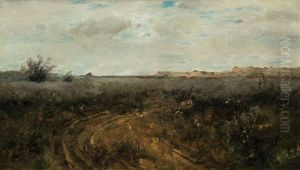 Einsamer Pfad In Weitlaufiger Landschaft Einsamer Pfad In Weitlaufiger Landschaft