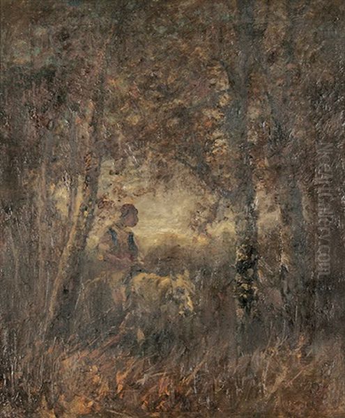 Wallache Auf Einem Schimmel Im Wald - view 1