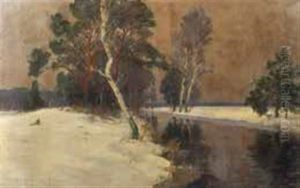 Wintertag Im Moorbruch/tauwetter