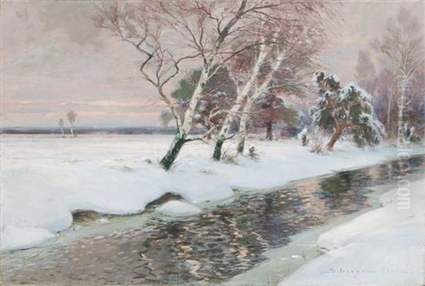 Winterabend Am Moorbach - view 1