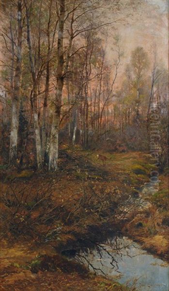 Forest Clearing With Birches At Sunrise - view 1