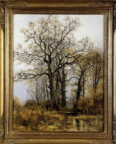 A Hunter In A Forest - view 1