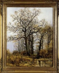 A Hunter In A Forest