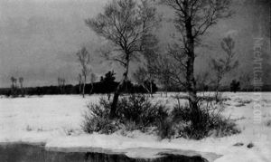 Winter Im Moor
